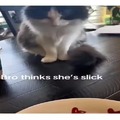 commented item thumbnail