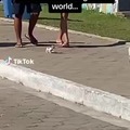 commented item thumbnail