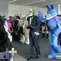 Why is this picture of a furry convention a meme? Smh