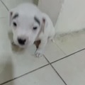 commented item thumbnail