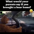 Bears have feelings too