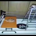 commented item thumbnail