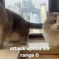 Gato full attack (insane korean build)