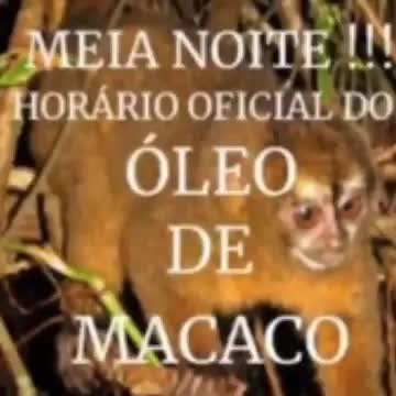 Macaco Meme Subido Por Painelitis Memedroid