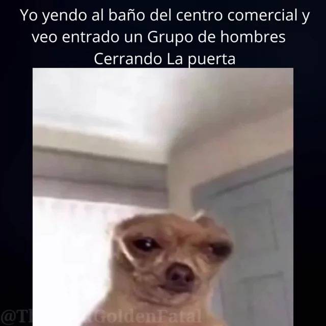 Es triste wey #memesespañol #memes #memes😂