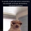 Yo no se wey meme del perro triste cantando el meme no es mio https://youtube.com/shorts/7Tex-WhlTnQ?feature=share