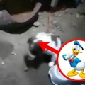 commented item thumbnail