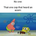 Cop shotting acorn meme