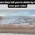 New gun rules