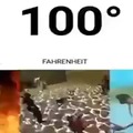 100°