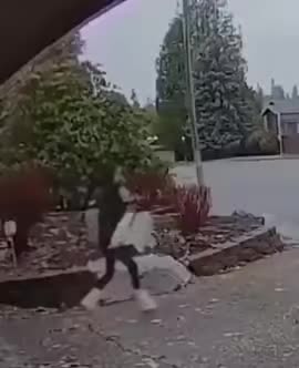 Stupid thieves - Meme by vaperWave :) Memedroid