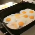 Le egg overdrive