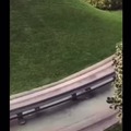 commented item thumbnail