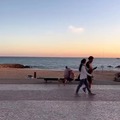 Some guys bring their gf to see the sunset. This guy bring his dog.