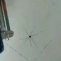 cuando la araña anda modo god