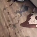 commented item thumbnail