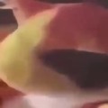 commented item thumbnail