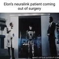 Elon's neuralink meme