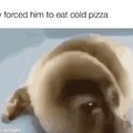 Average cold pizza eater