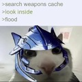 dongs in a cache