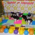 Happy 1st birthday to the kitties!