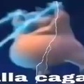 commented item thumbnail