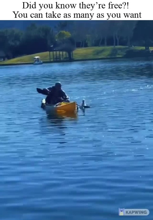 Oldman just went “this is mine now” Meme by Disappointed_father