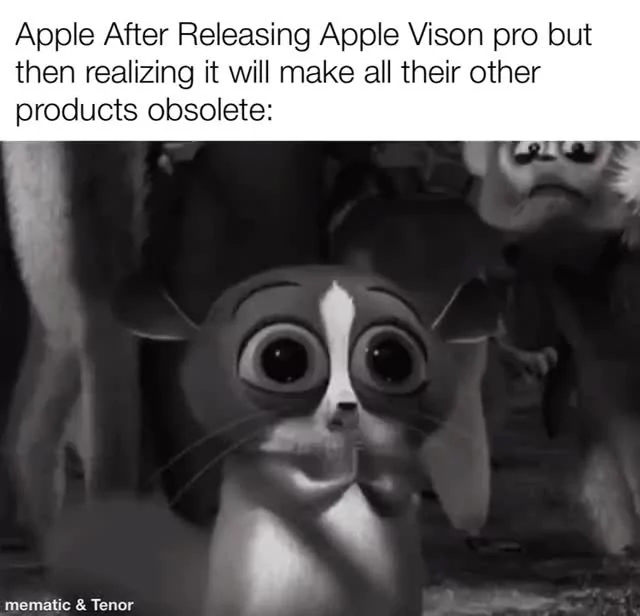 Apple Vision Pro looks like this - Meme by ismokegkush :) Memedroid