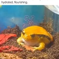 commented item thumbnail