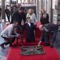Willem Dafoe gets his star on the Hollywood Walk of Fame