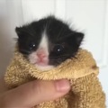 commented item thumbnail