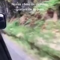 O mais fraco caminhonista de São Paulo