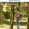 Spider dance