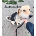 commented item thumbnail