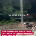 Police investigate viral videos of horse racing in the middle of Rio de Janeiro