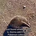 commented item thumbnail