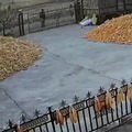 commented item thumbnail