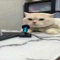 commented item thumbnail