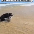commented item thumbnail
