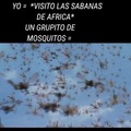 Putos mosquitos de mierda