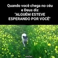 *Imagine que é um gato*