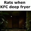 KFC rat