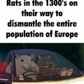 Rats in the 1300's