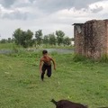 commented item thumbnail