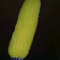 how to eat corn on a cob