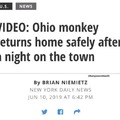 Happy for this monkey
