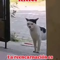 commented item thumbnail