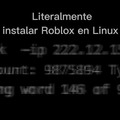 quien más intento jugar roblox en linux  XDDDDDDDD