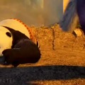 Panda 2 Sonidos de stock