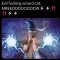 evil fucking wizard cat
